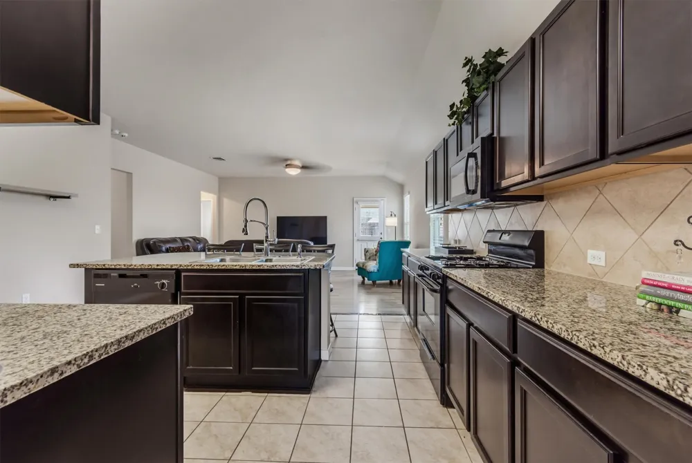 176 Dusky Thrush Drive Kyle, TX 78640
