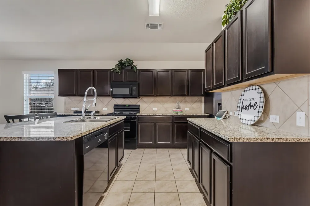 176 Dusky Thrush Drive Kyle, TX 78640