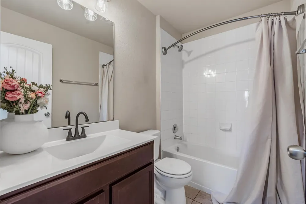 176 Dusky Thrush Drive Kyle, TX 78640