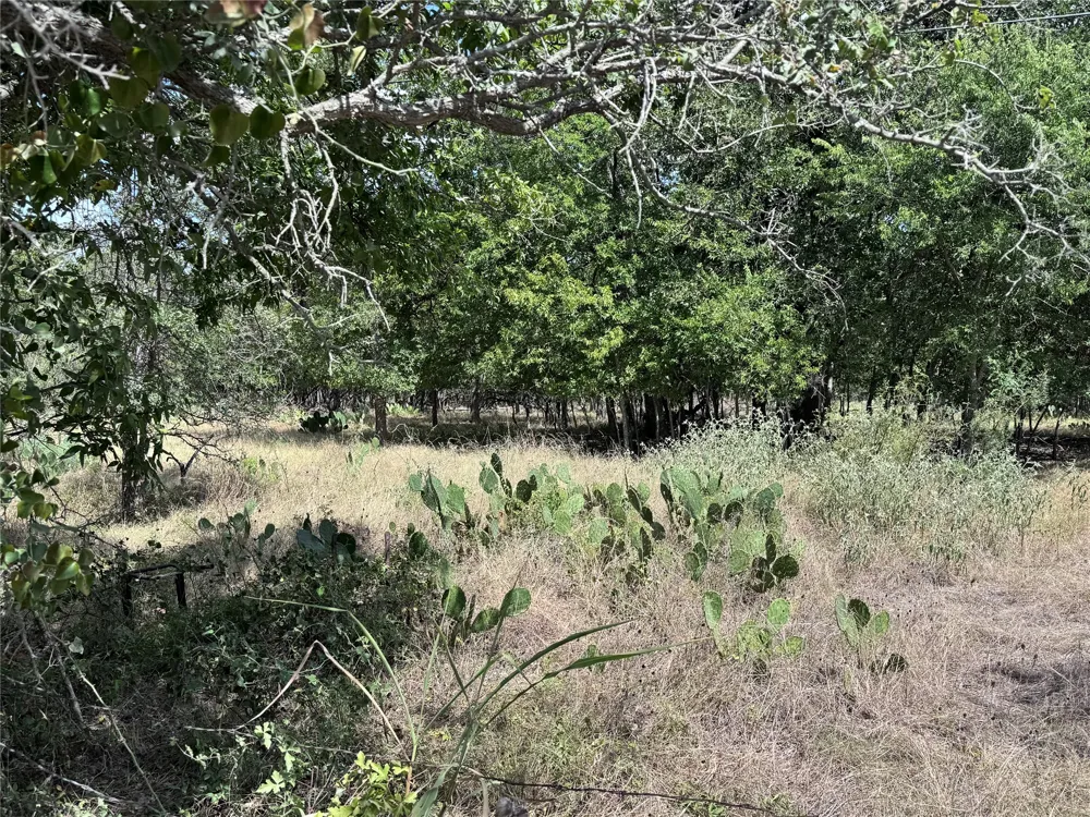 CR 414 Buckholts, TX 76518
