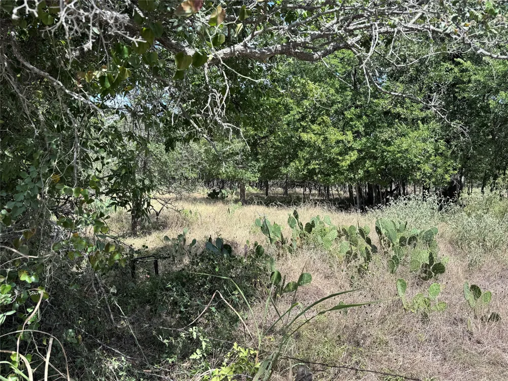 CR 414 Buckholts, TX 76518