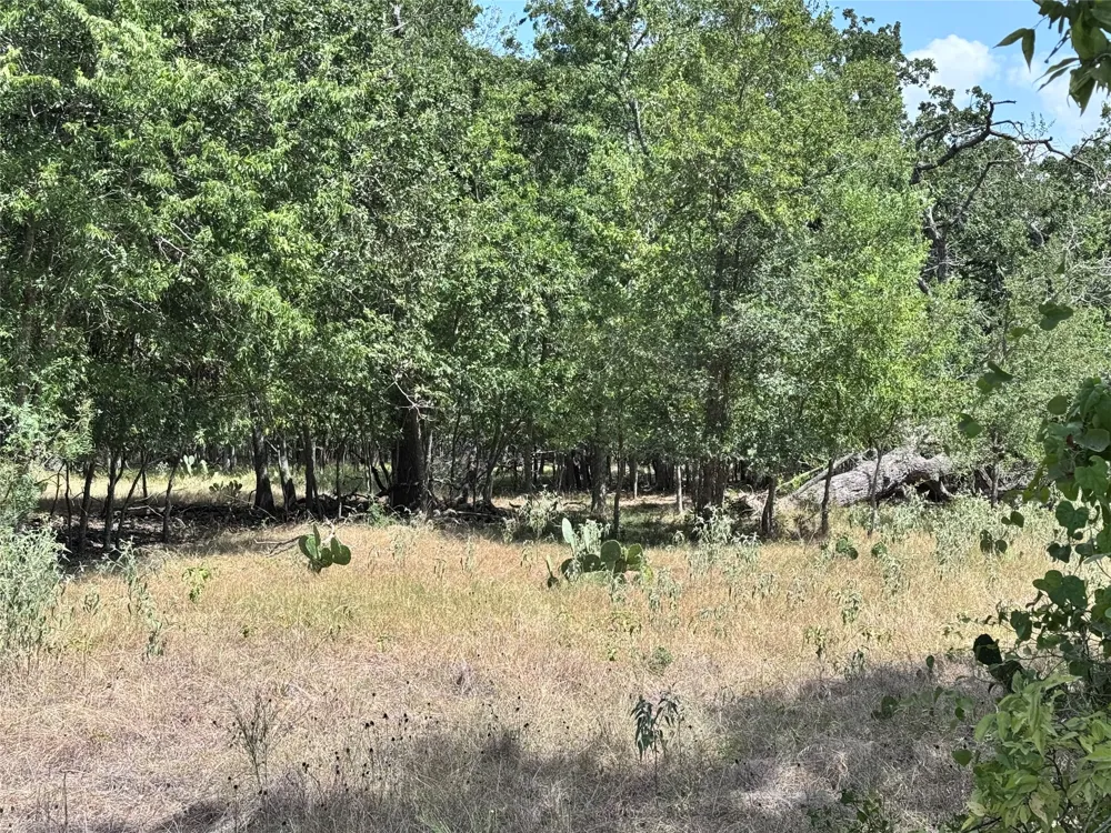 CR 414 Buckholts, TX 76518