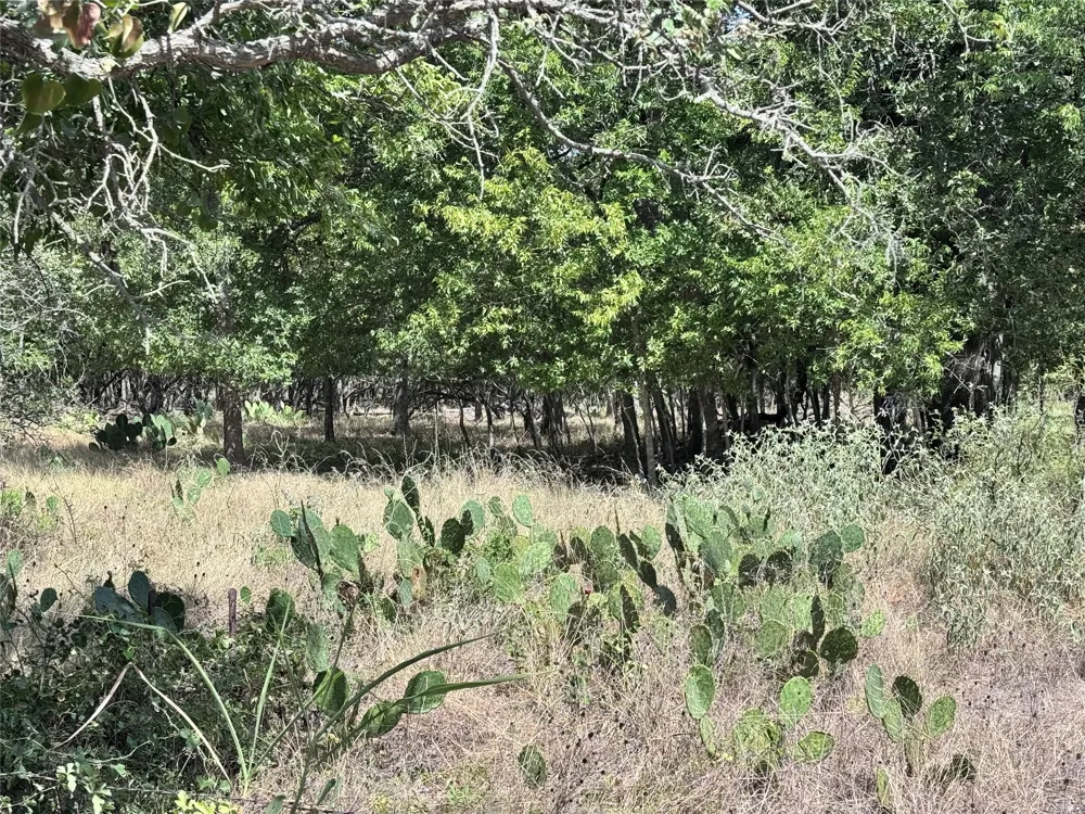 CR 414 Buckholts, TX 76518