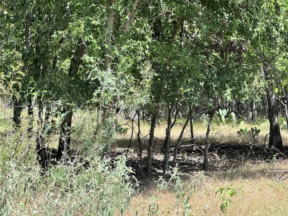 CR 414 Buckholts, TX 76518