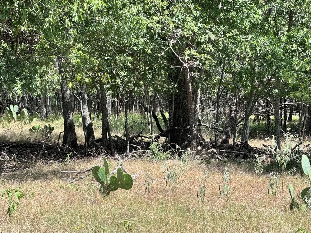CR 414 Buckholts, TX 76518