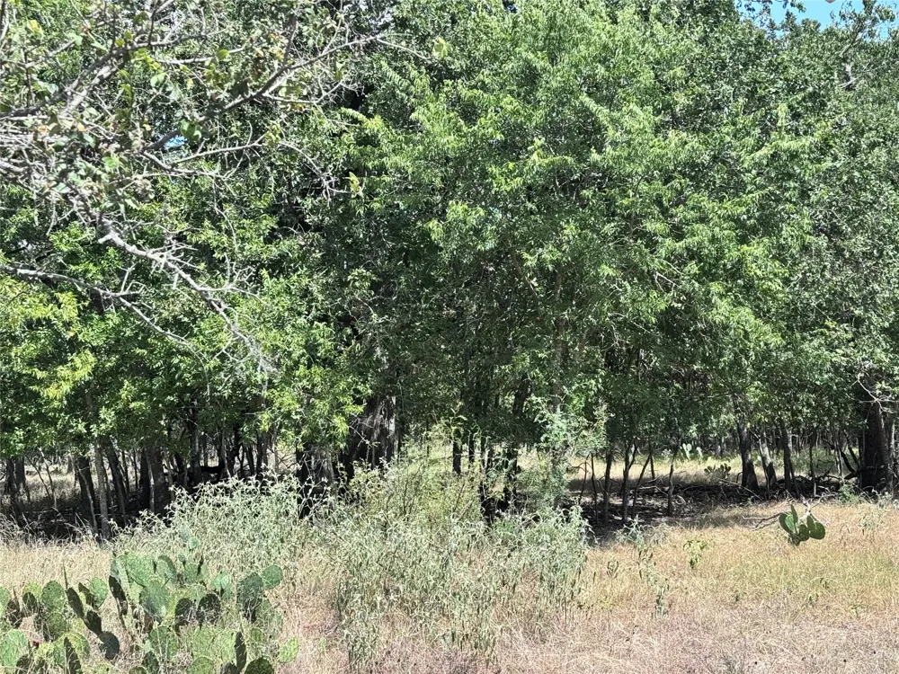 CR 414 Buckholts, TX 76518