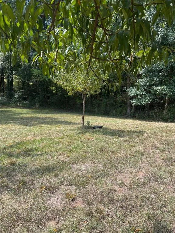 1402 Dewey Street Griffin, GA 30223