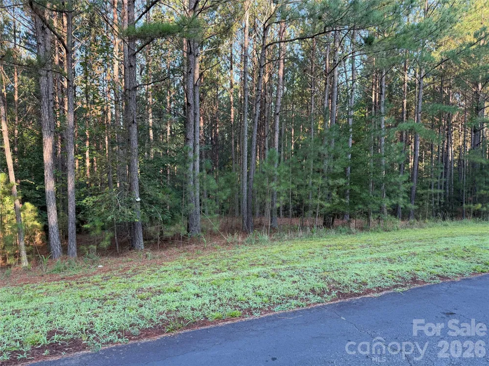 108 Whispering Pines Lane Mooresboro, NC 28114