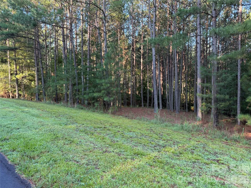 108 Whispering Pines Lane Mooresboro, NC 28114