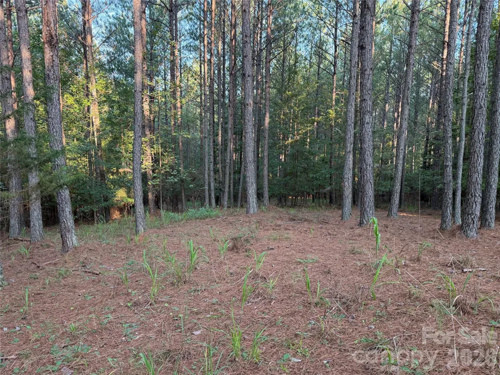 108 Whispering Pines Lane Mooresboro, NC 28114