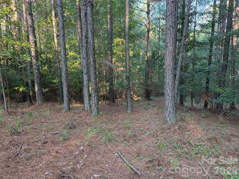 108 Whispering Pines Lane Mooresboro, NC 28114