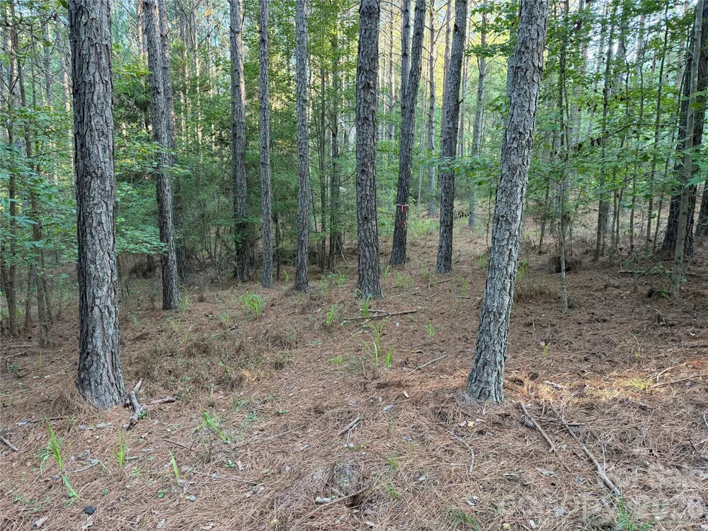 108 Whispering Pines Lane Mooresboro, NC 28114