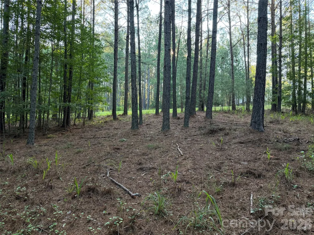 108 Whispering Pines Lane Mooresboro, NC 28114