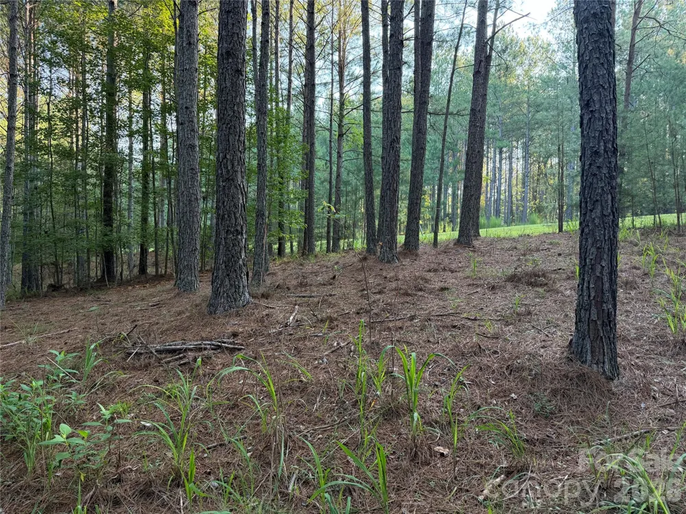 108 Whispering Pines Lane Mooresboro, NC 28114