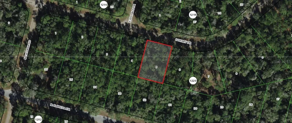 1507 E DERBY DRIVE Citrus Springs, FL 34434