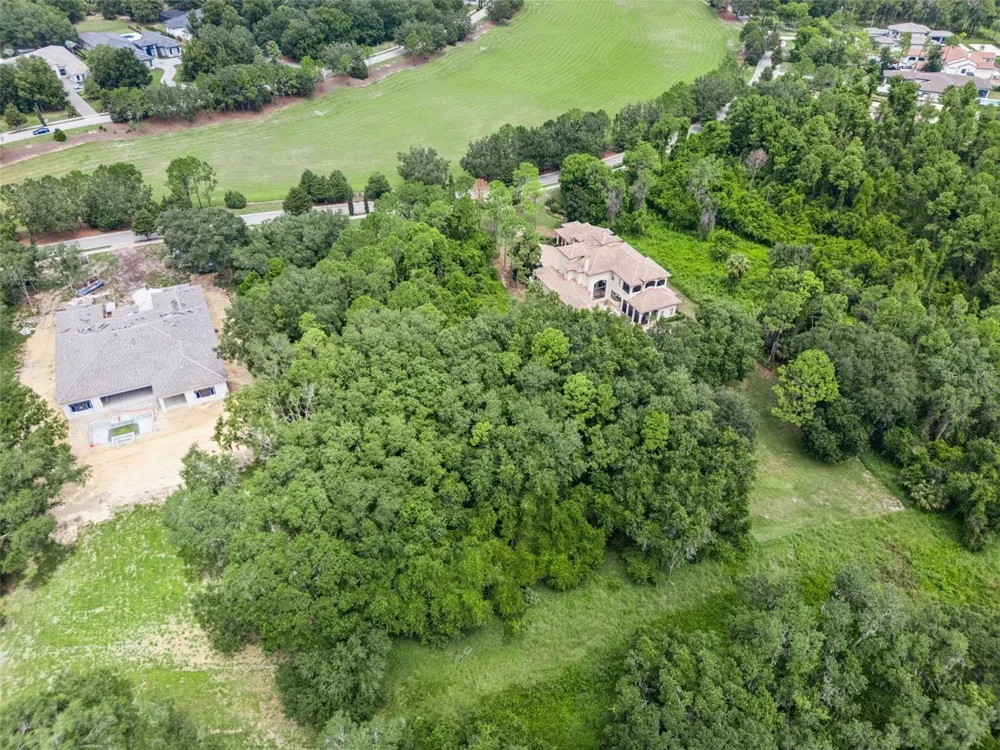 17119 ETRUSCAN LANE Montverde, FL 34756