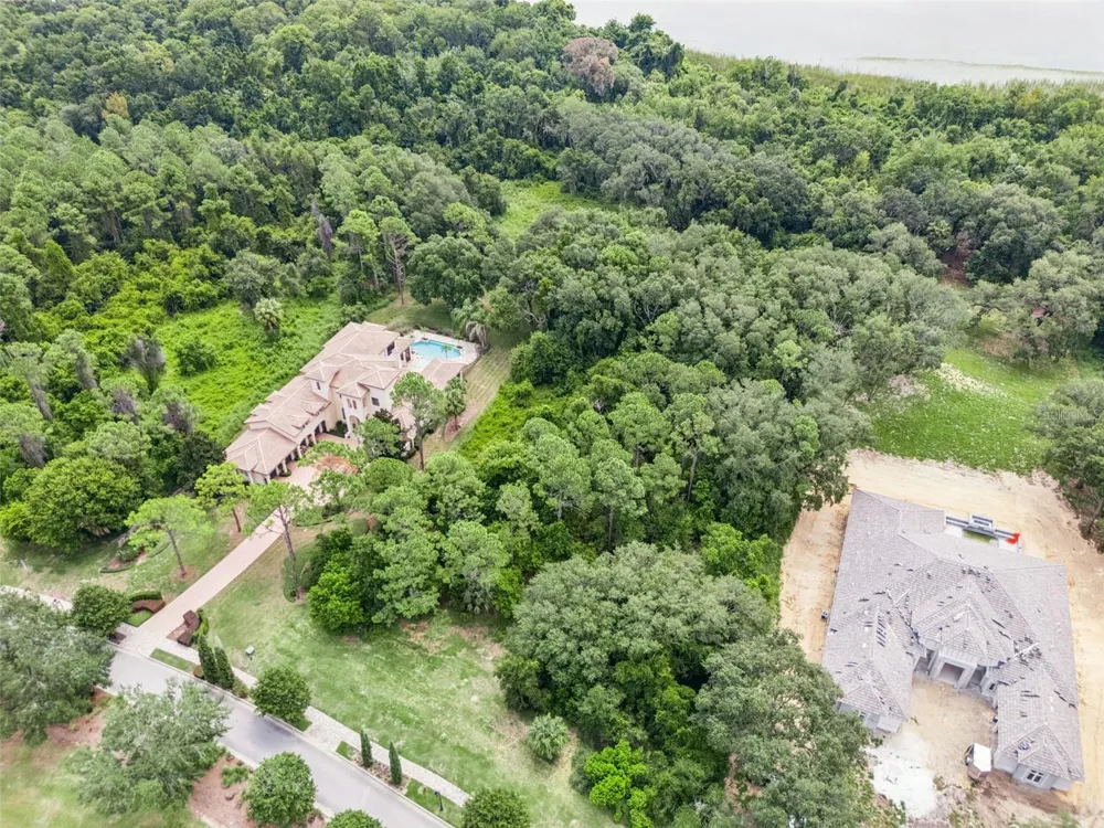 17119 ETRUSCAN LANE Montverde, FL 34756