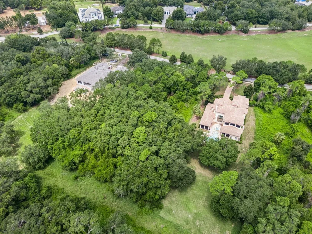 17119 ETRUSCAN LANE Montverde, FL 34756