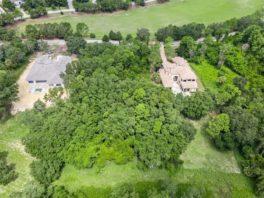 17119 ETRUSCAN LANE Montverde, FL 34756