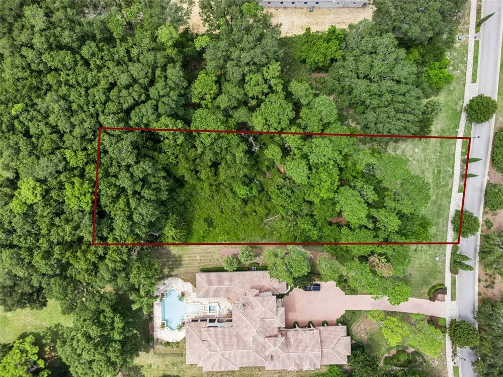 17119 ETRUSCAN LANE Montverde, FL 34756