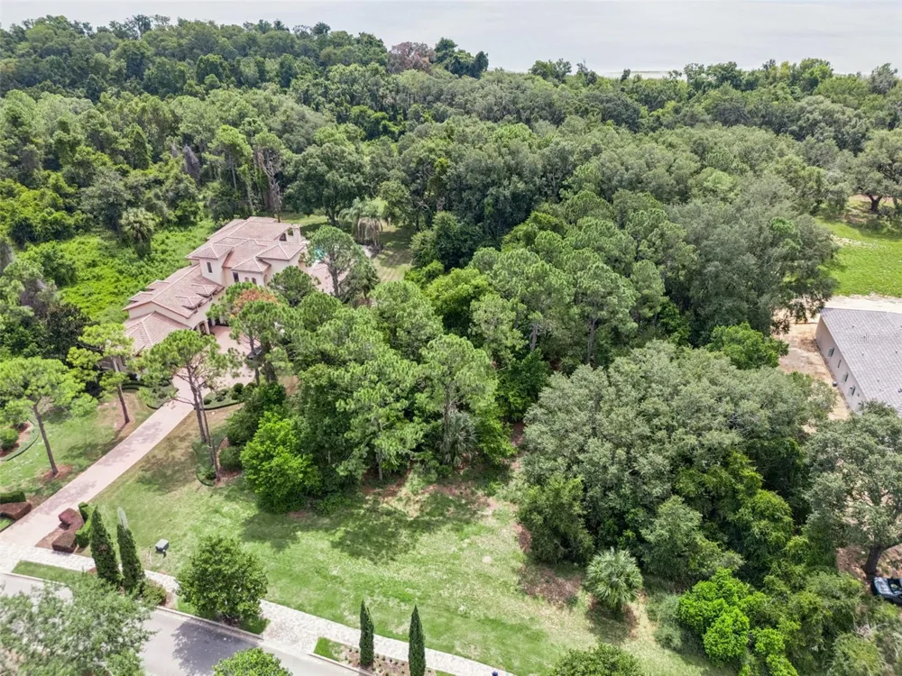 17119 ETRUSCAN LANE Montverde, FL 34756
