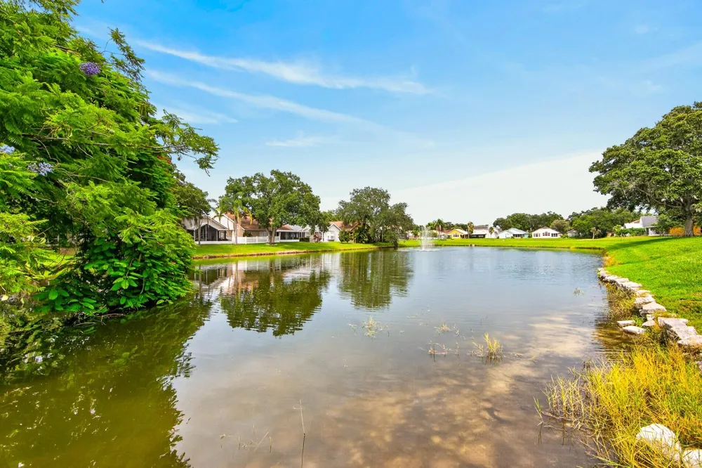 7737 MARBELLA CREEK AVENUE Tampa, FL 33615
