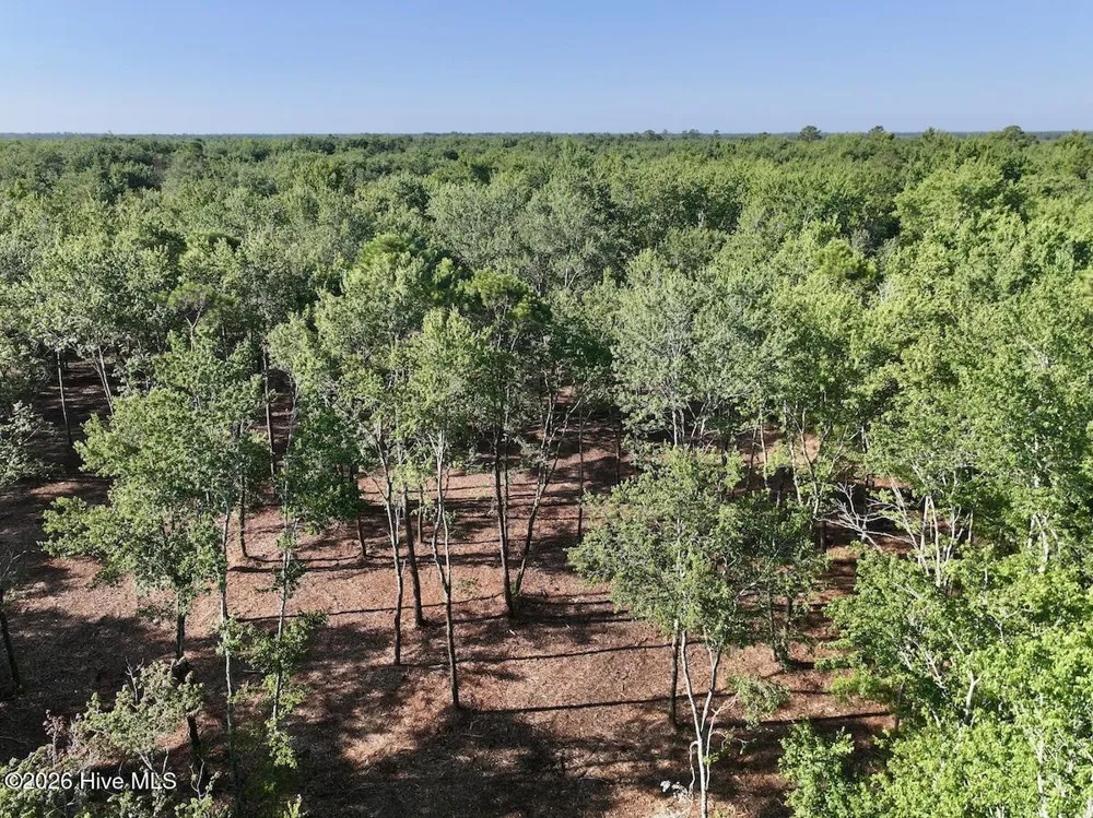 0 Guinea Mill Road Ernul, NC 28527
