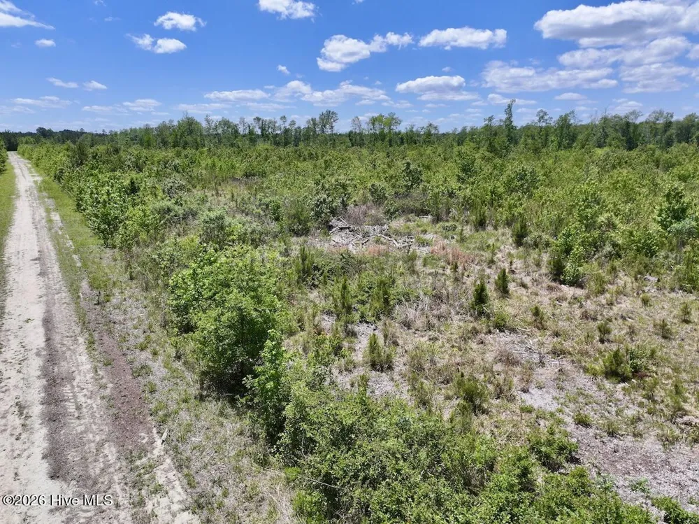 0 Guinea Mill Road Ernul, NC 28527