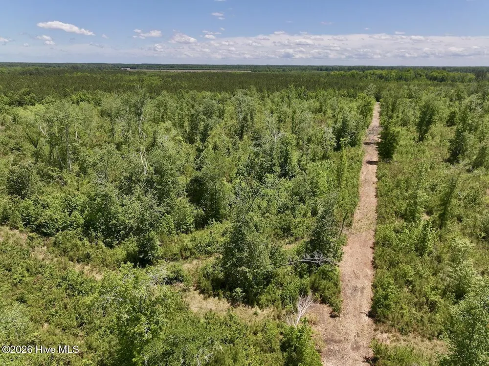 0 Guinea Mill Road Ernul, NC 28527