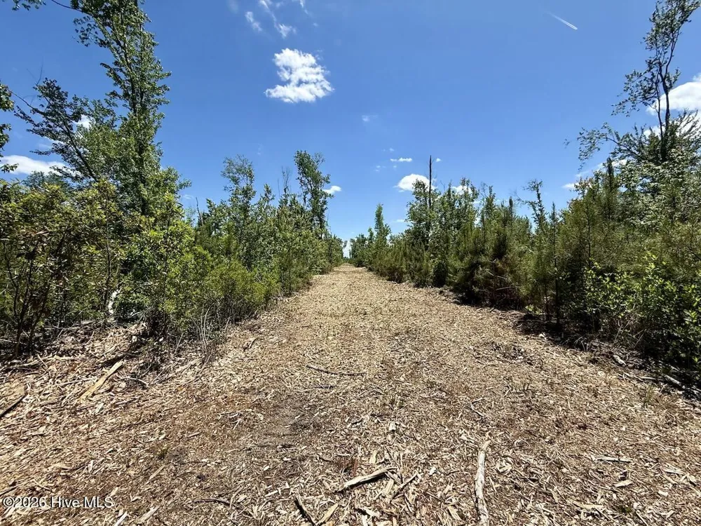 0 Guinea Mill Road Ernul, NC 28527