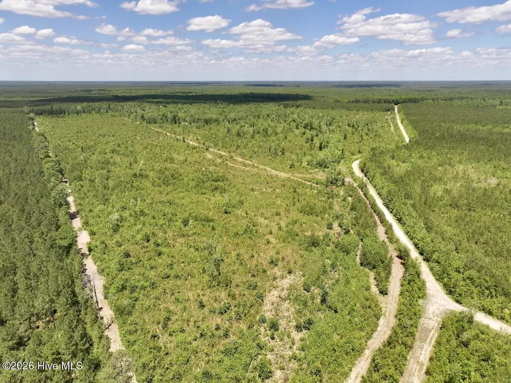 0 Guinea Mill Road Ernul, NC 28527