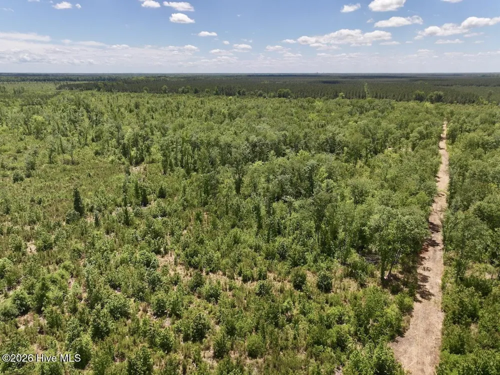 0 Guinea Mill Road Ernul, NC 28527