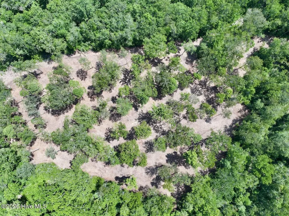 0 Guinea Mill Road Ernul, NC 28527