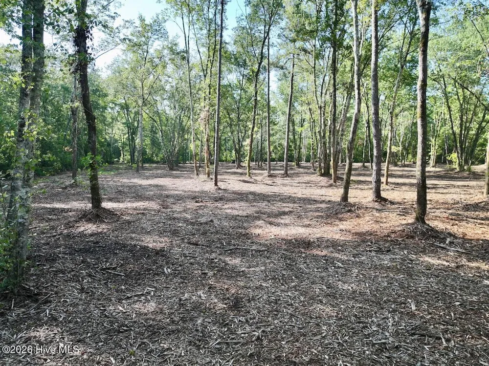 0 Guinea Mill Road Ernul, NC 28527