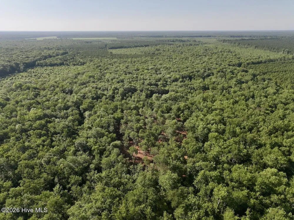 0 Guinea Mill Road Ernul, NC 28527