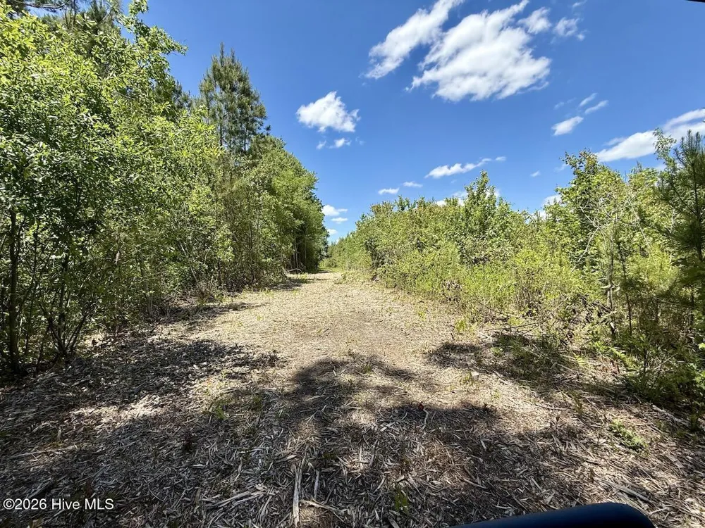 0 Guinea Mill Road Ernul, NC 28527