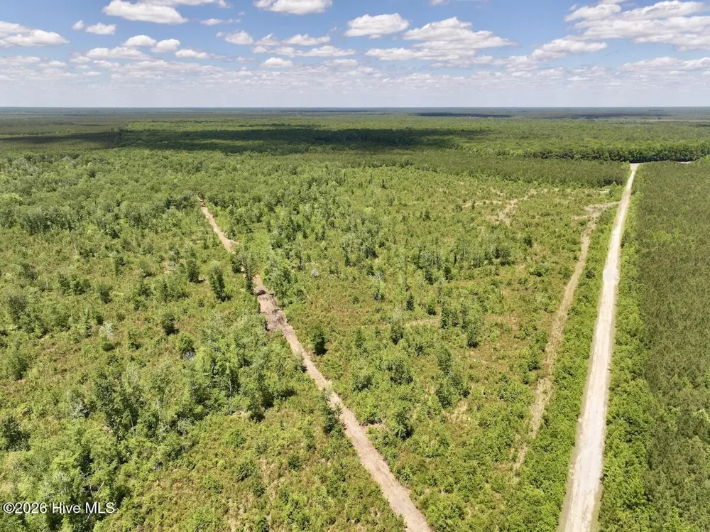 0 Guinea Mill Road Ernul, NC 28527
