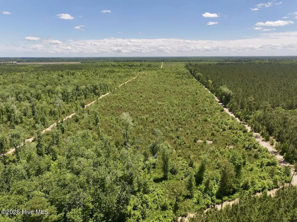 0 Guinea Mill Road Ernul, NC 28527