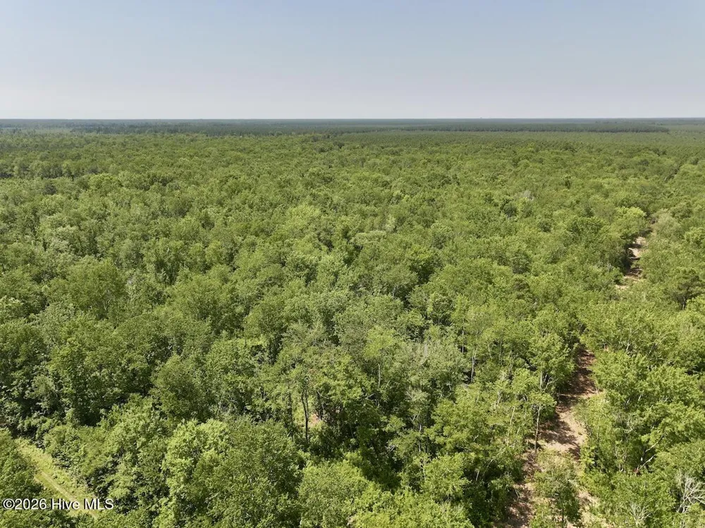 0 Guinea Mill Road Ernul, NC 28527