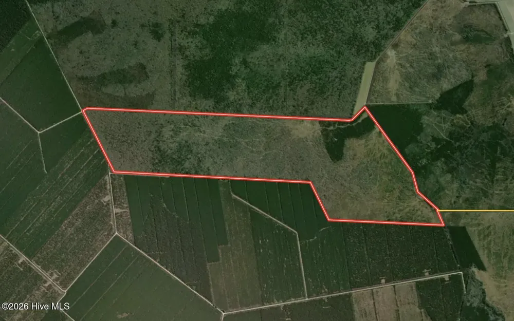 0 Guinea Mill Road Ernul, NC 28527