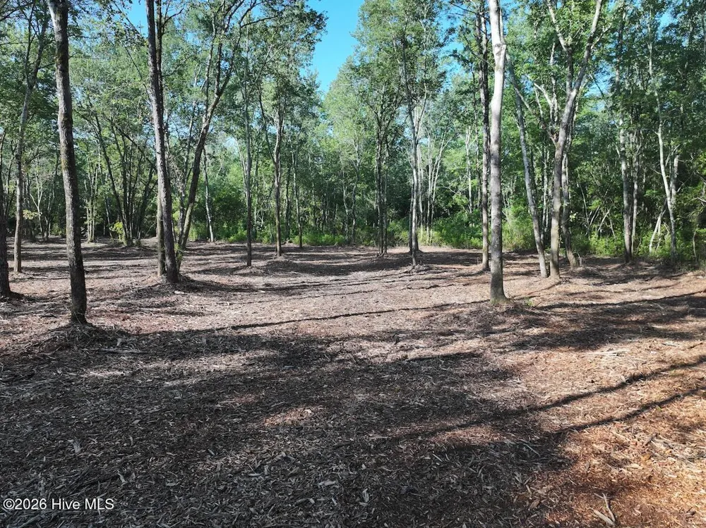 0 Guinea Mill Road Ernul, NC 28527