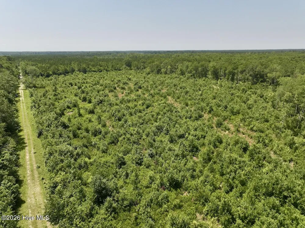 0 Guinea Mill Road Ernul, NC 28527