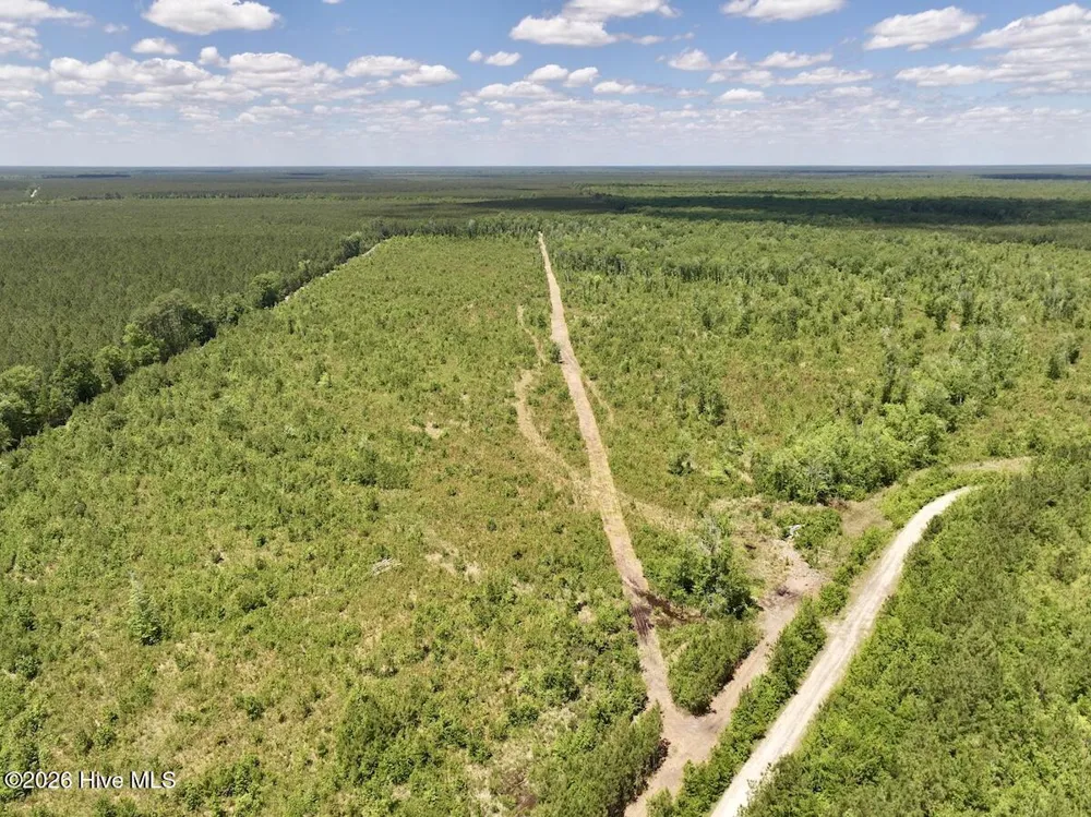 0 Guinea Mill Road Ernul, NC 28527