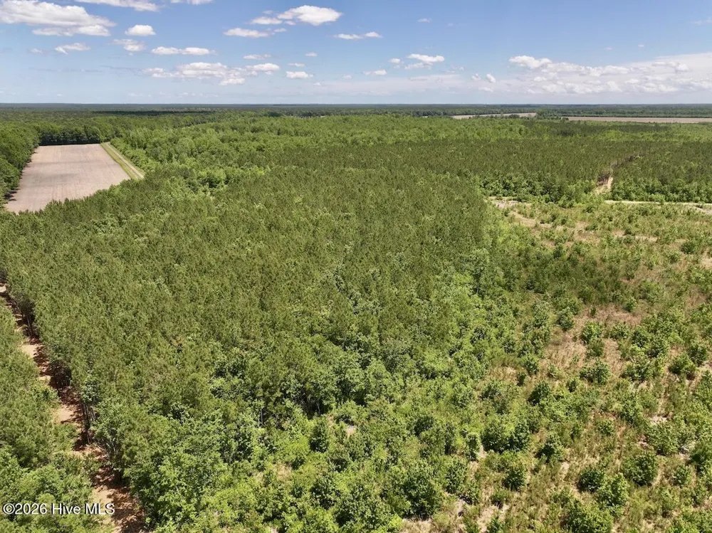 0 Guinea Mill Road Ernul, NC 28527