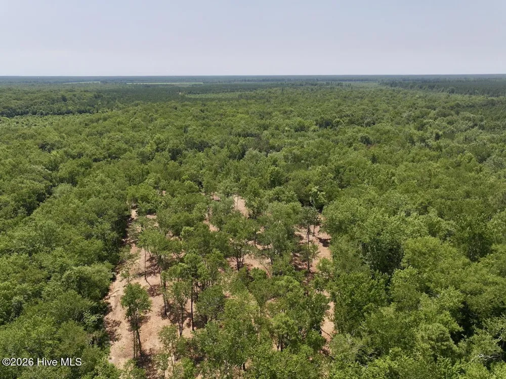 0 Guinea Mill Road Ernul, NC 28527