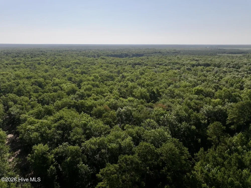 0 Guinea Mill Road Ernul, NC 28527