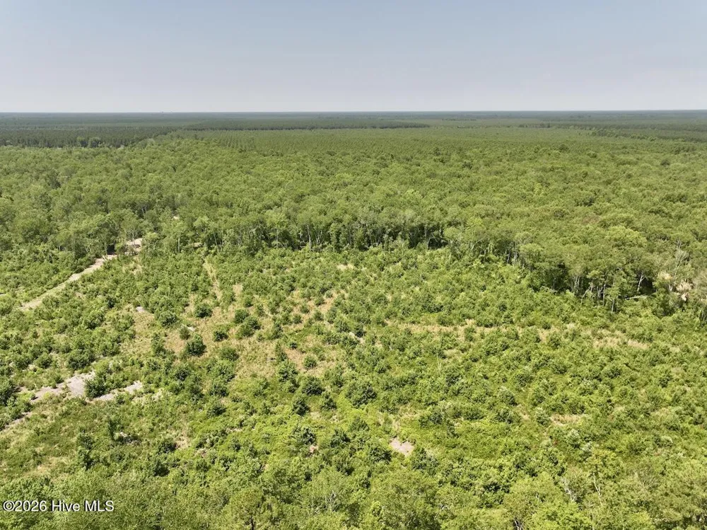0 Guinea Mill Road Ernul, NC 28527