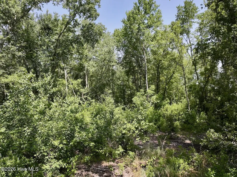 0 Guinea Mill Road Ernul, NC 28527