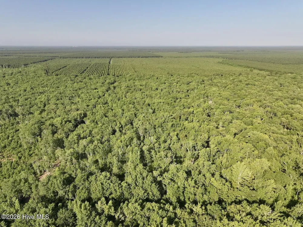 0 Guinea Mill Road Ernul, NC 28527