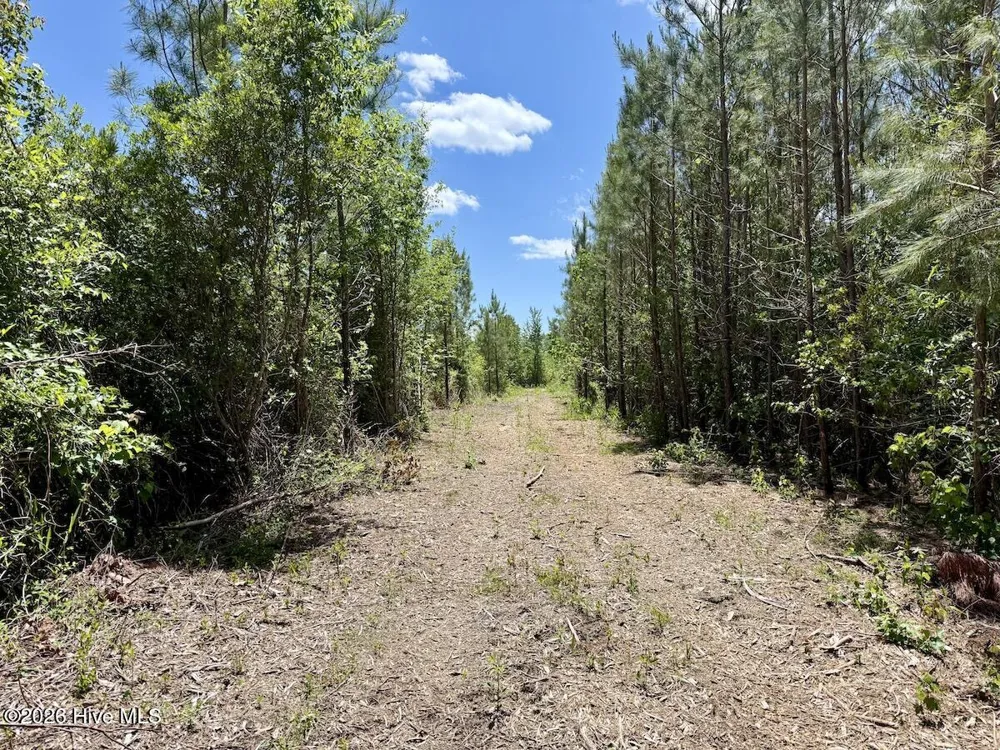 0 Guinea Mill Road Ernul, NC 28527